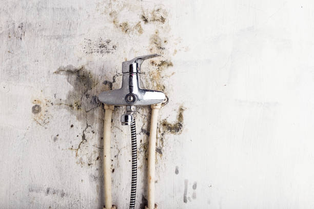 Best Water Damage Restoration  in Euharlee, GA