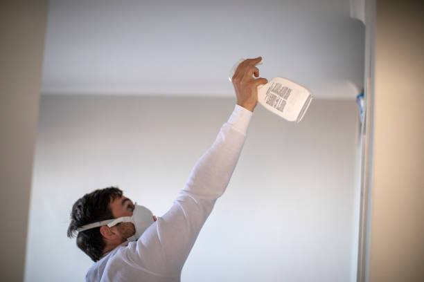 Best Office Mold Removal Services  in Euharlee, GA
