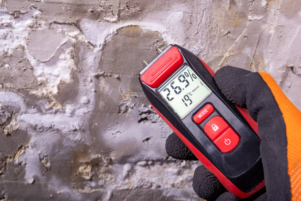 Attic Mold Removal in Euharlee, GA