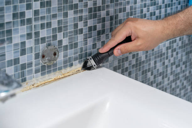 Best Mold Remediation  in Euharlee, GA