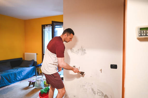 Best Attic Mold Removal  in Euharlee, GA
