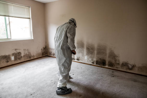 Best Emergency Mold Removal  in Euharlee, GA