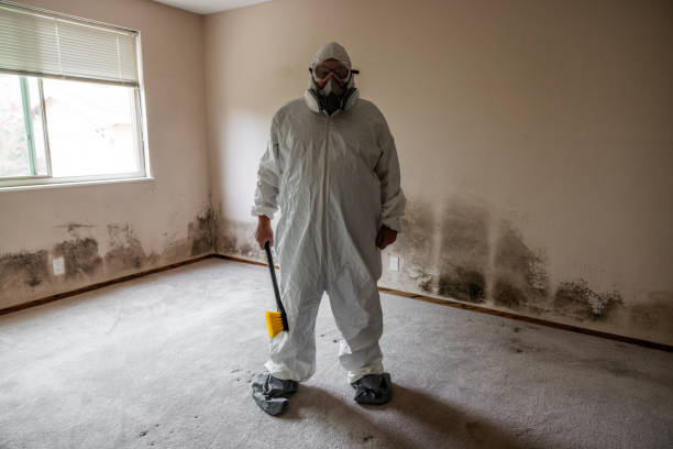 Best Residential Mold Removal  in Euharlee, GA
