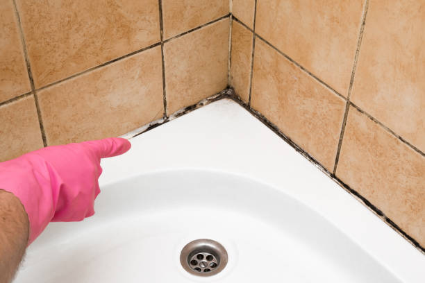 Best Mold Testing  in Euharlee, GA
